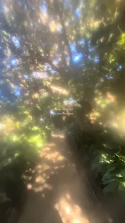 ♪ 君と夏フェス