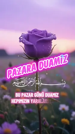 PAZAR DUASI