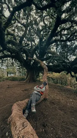 satu video 7 foto