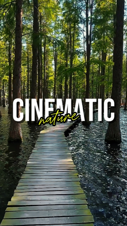 CINEMATIC NATURE