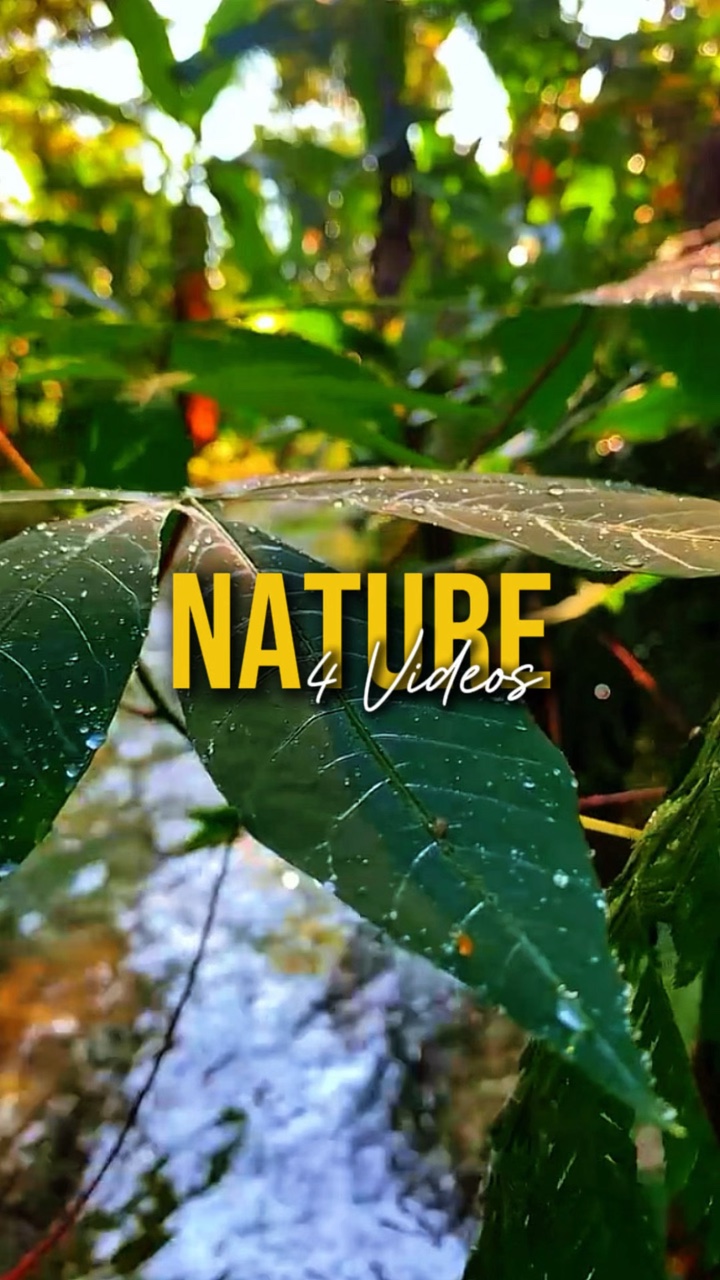Nature 4 Videos