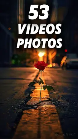 53 clip or photo 
