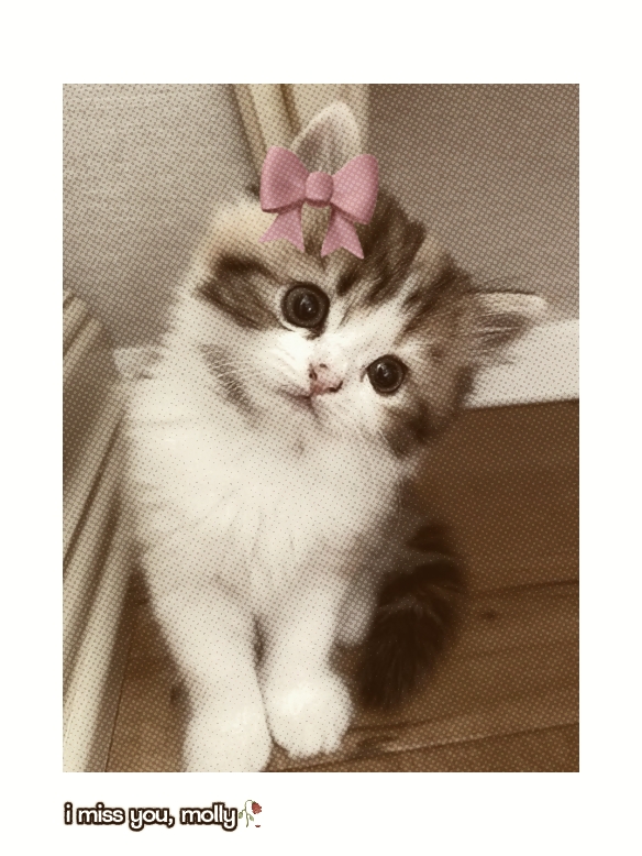 i miss you 
