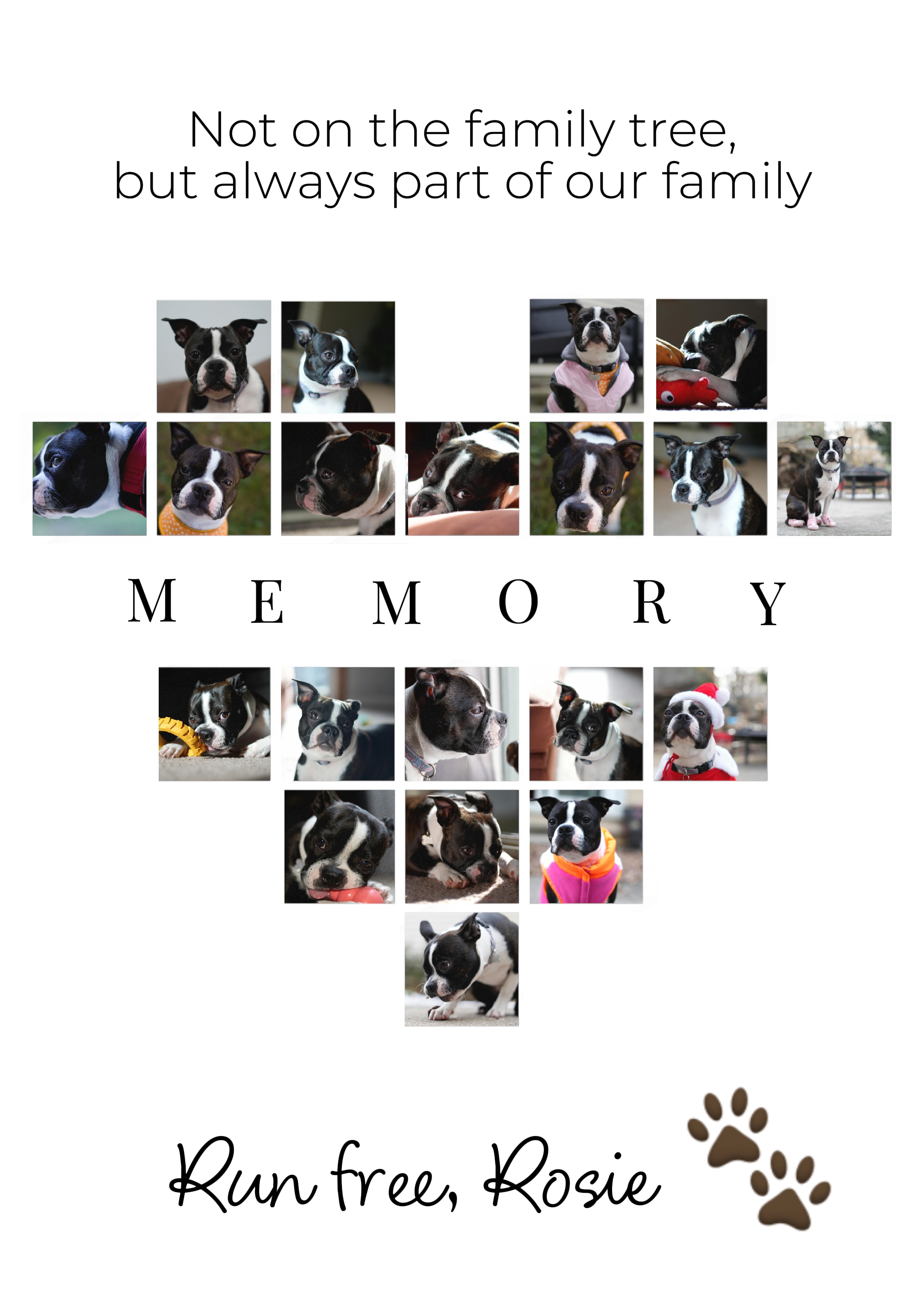 dog loss