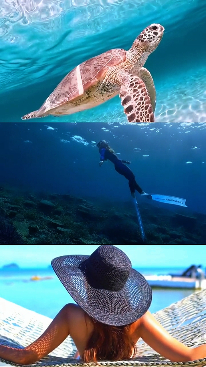 Vibras de verano 