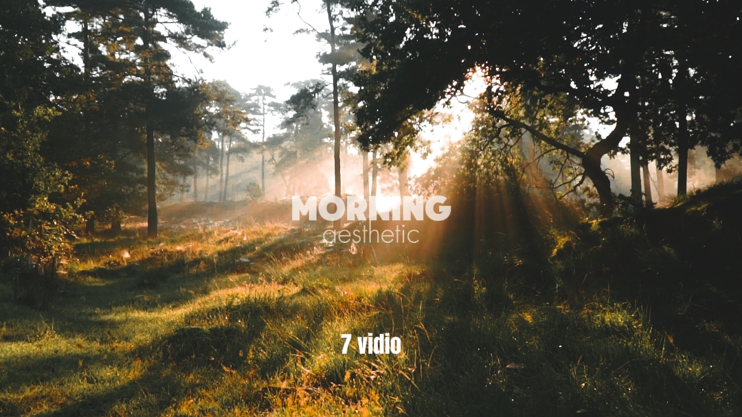 morning aesthetic