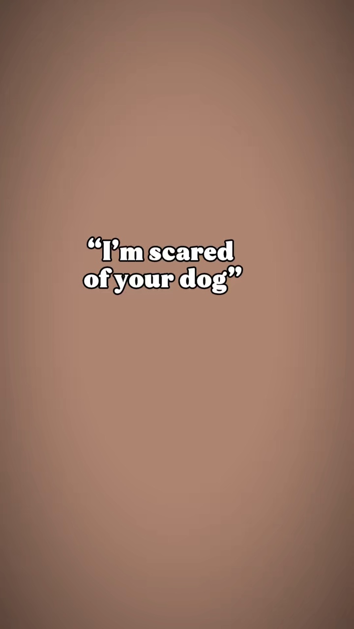 Ihr Hund 