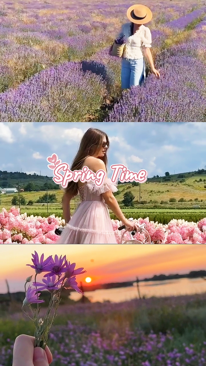 Spring Time