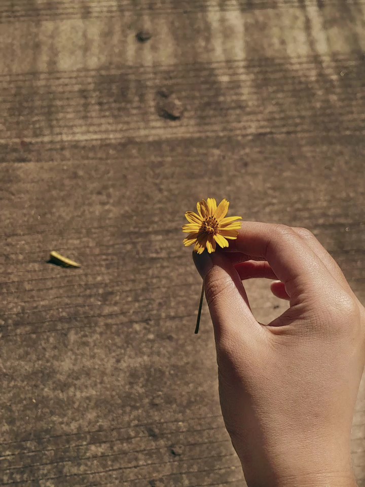 summer time sadness 