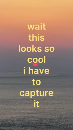 i have to capture it