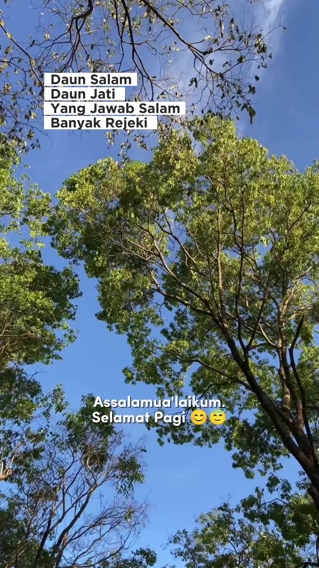 Selamat Pagi