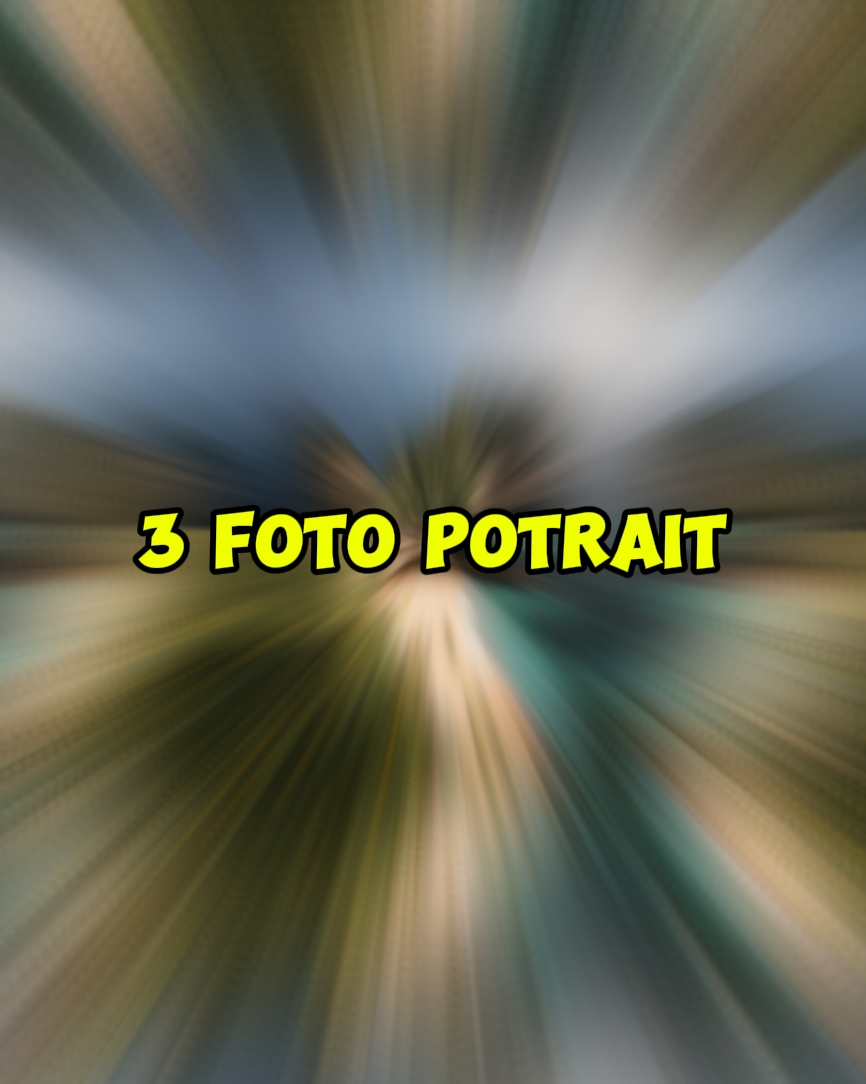 3 foto potre