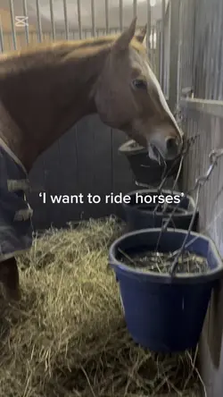 Riding horses