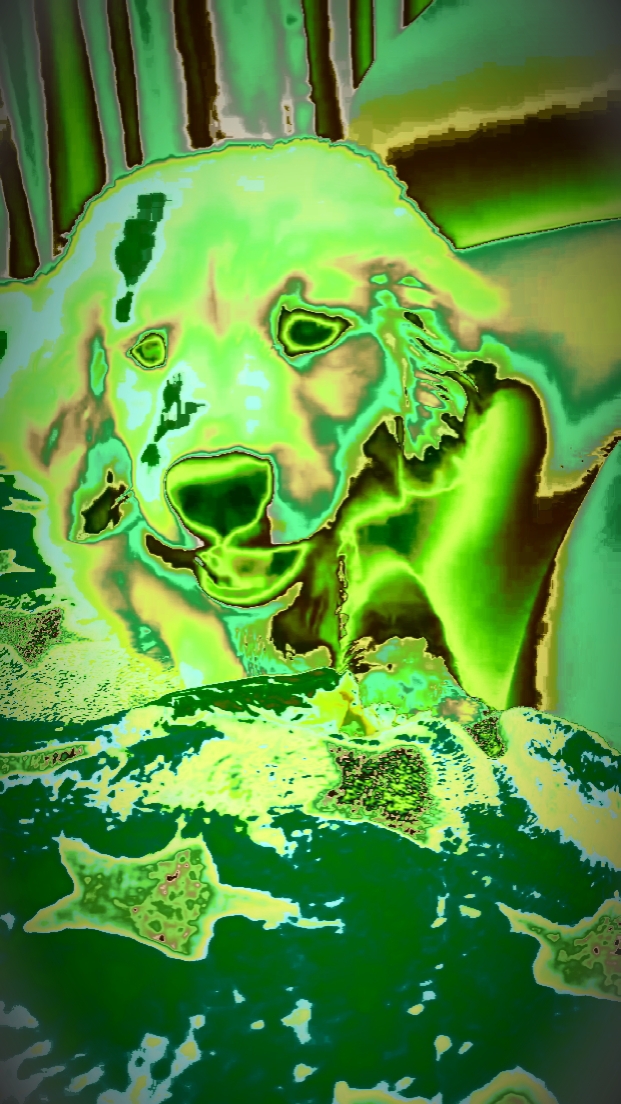 TENDÊNCIA MATCHA NOVO 