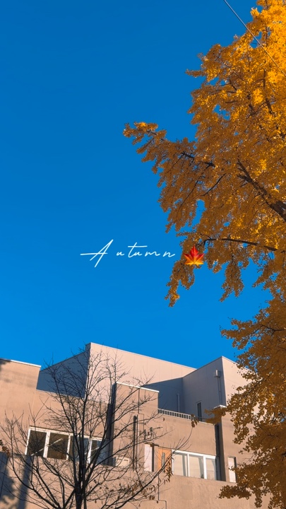 Herbst 2024 🍁
