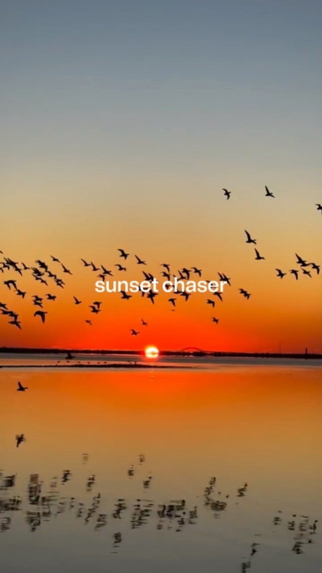 Cazador de atardeceres