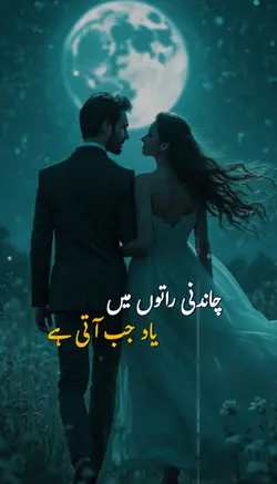 Chandni Raaton Mein