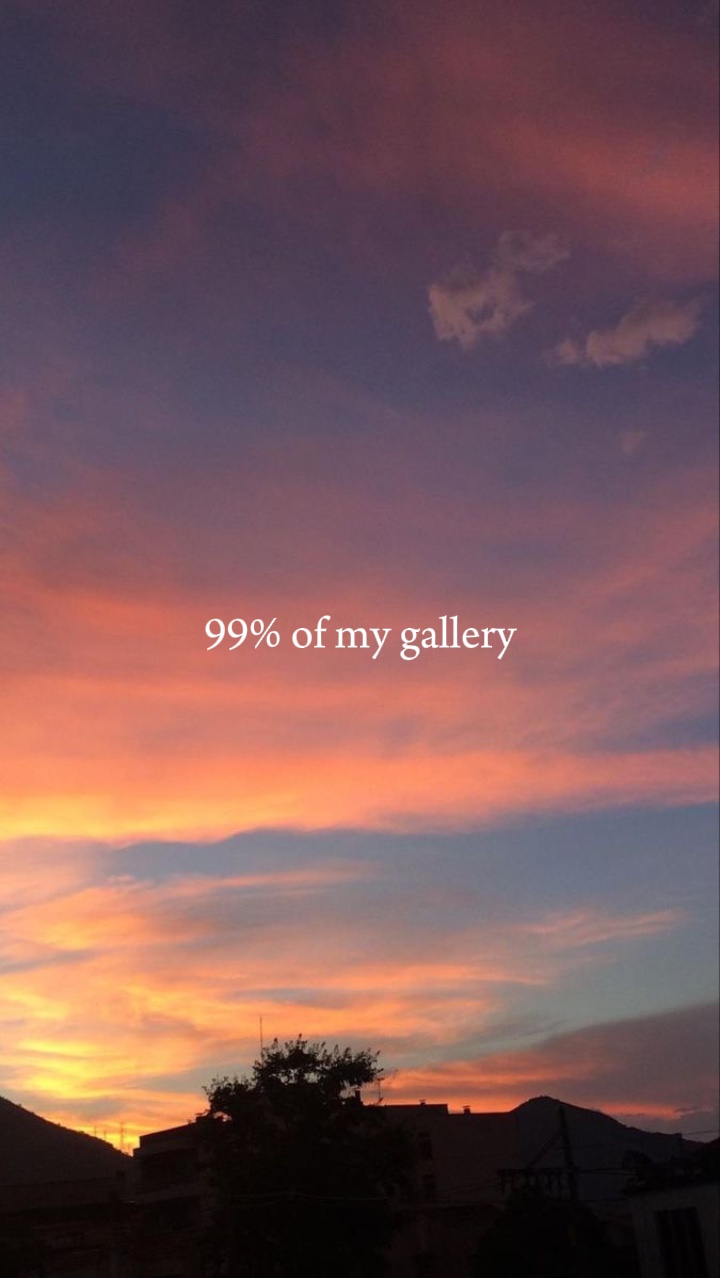 내 갤러리의 99%