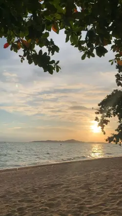 ไลฟ์​โฟโต้​