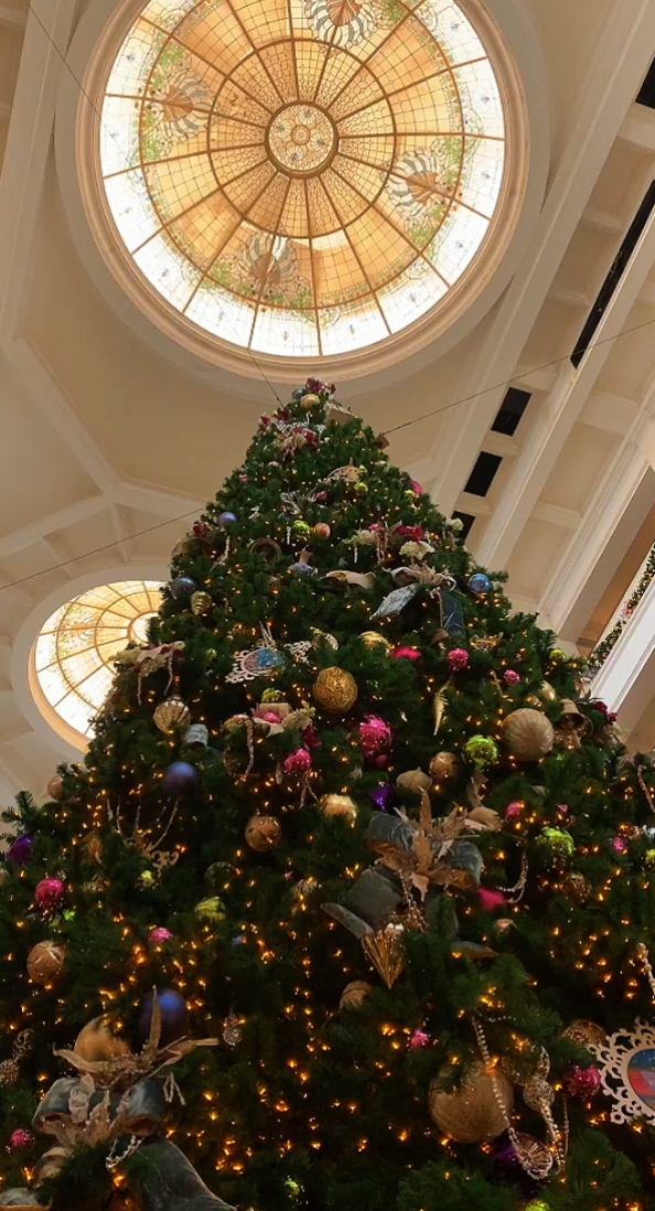 Feliz Navidad