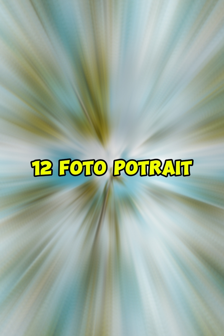 12 photos potrait