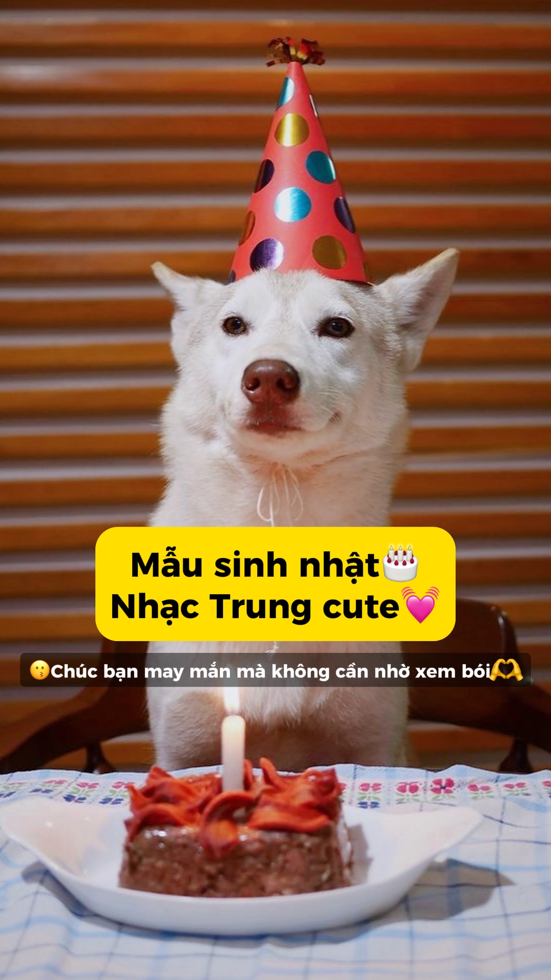 M u sinh Nh t可爱