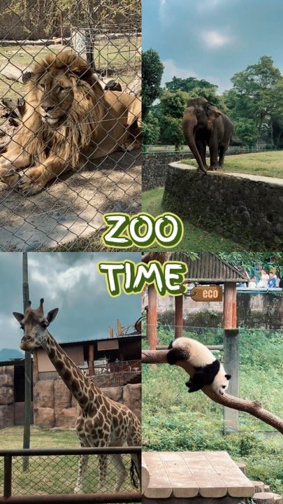 Zoo time