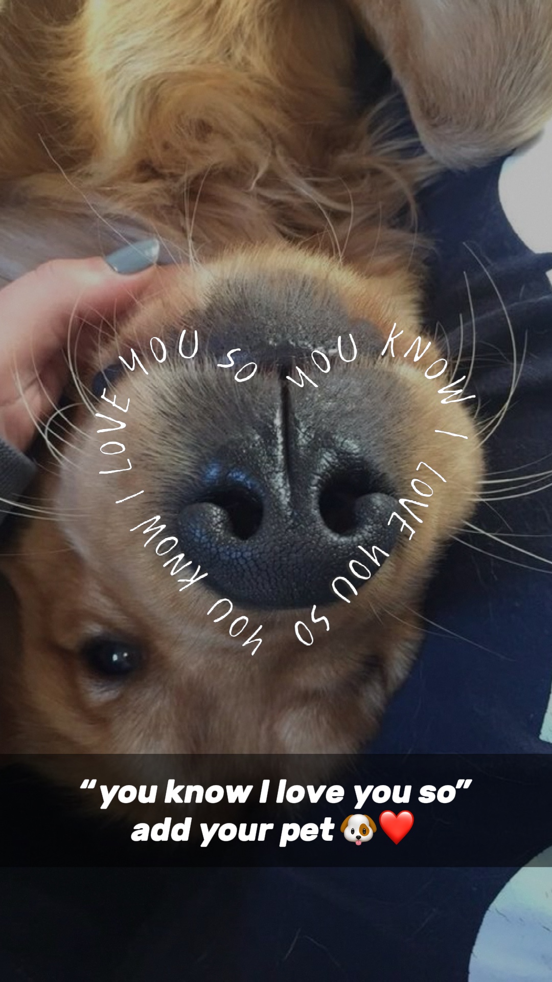 je t'aime animal ❤️