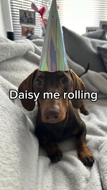 Daisy me rolando 