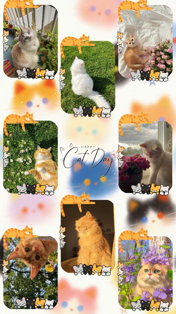 KEDİ GÜNÜ