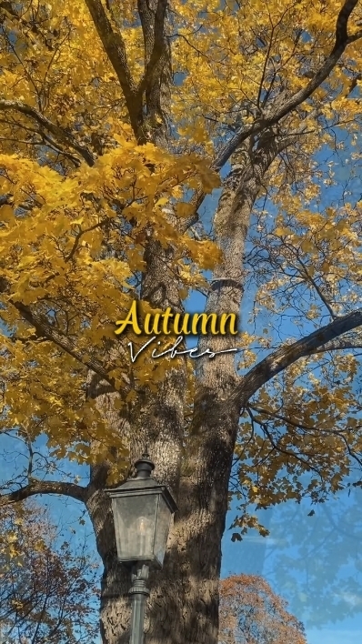 Autumn vibes 