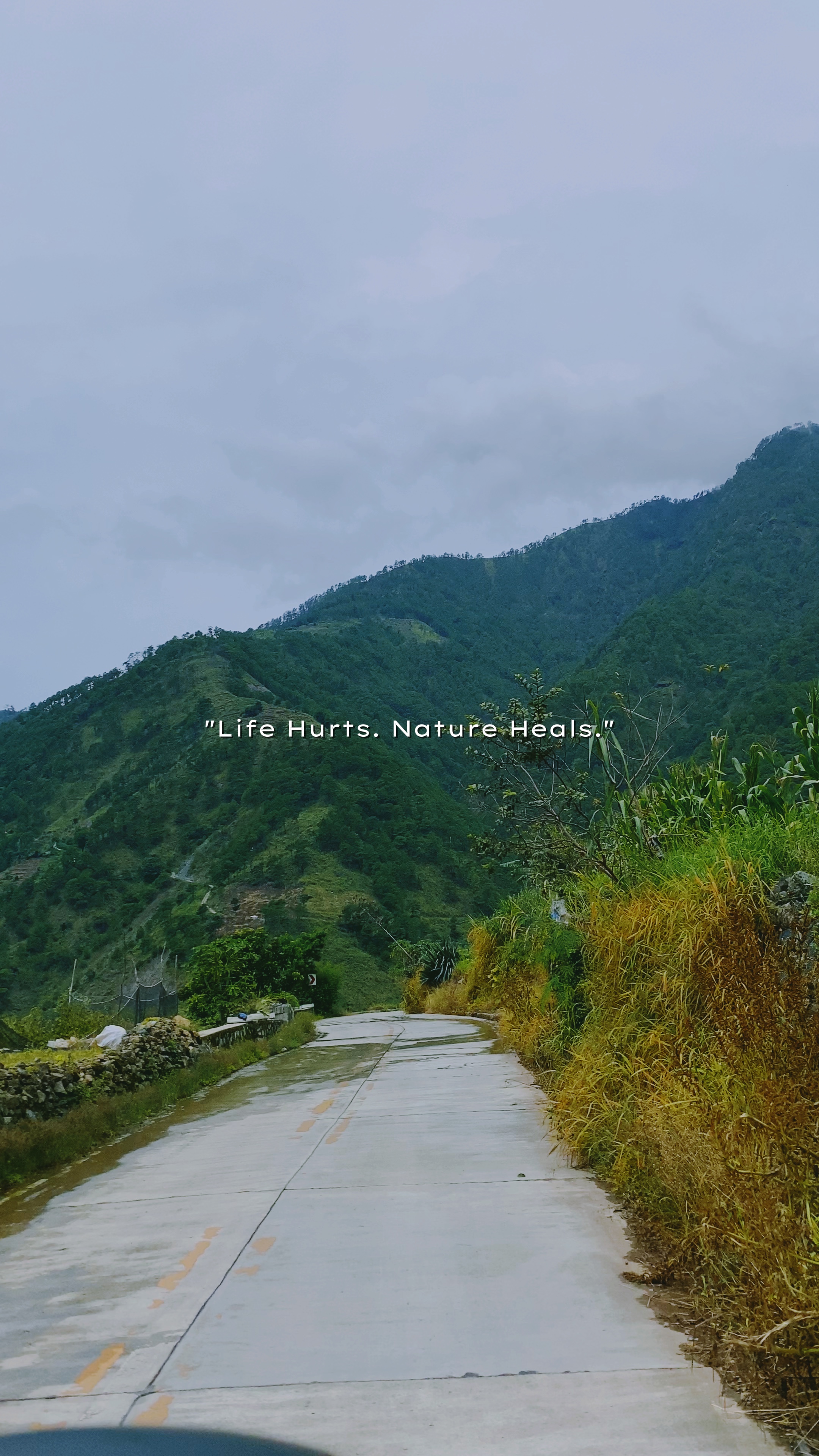 Rides & Nature Heals