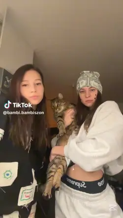 za free bambi