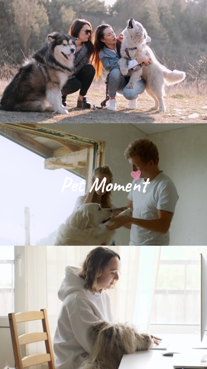 Momento de mascota