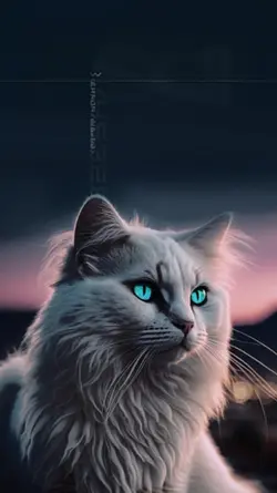 melody viral