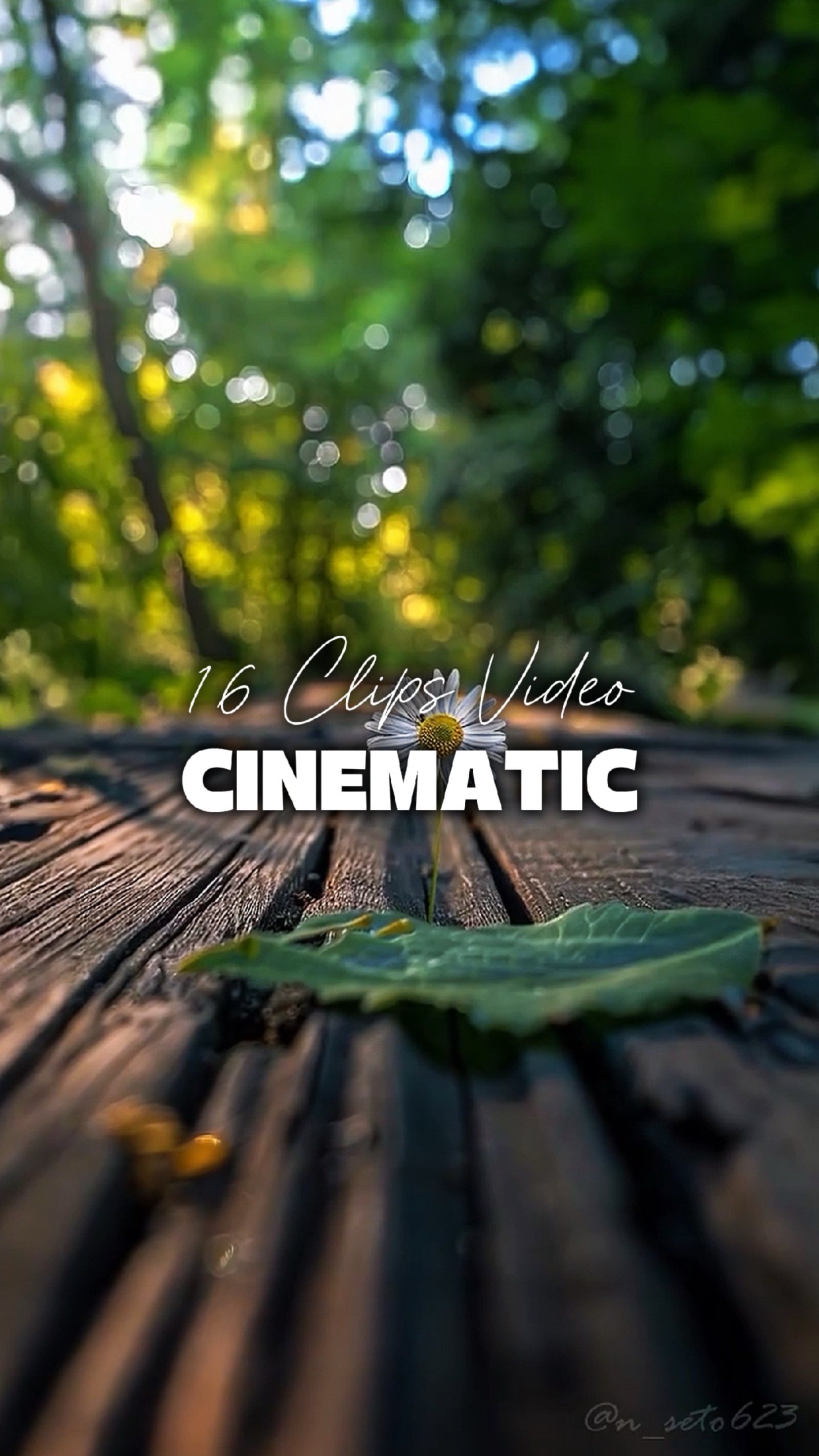 16 Clips Cinematic 