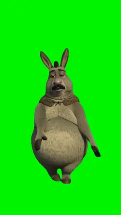 Amere Donkey