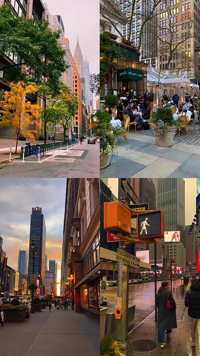 4 grid