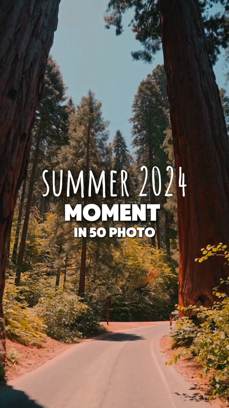 Verano en 50 fotos