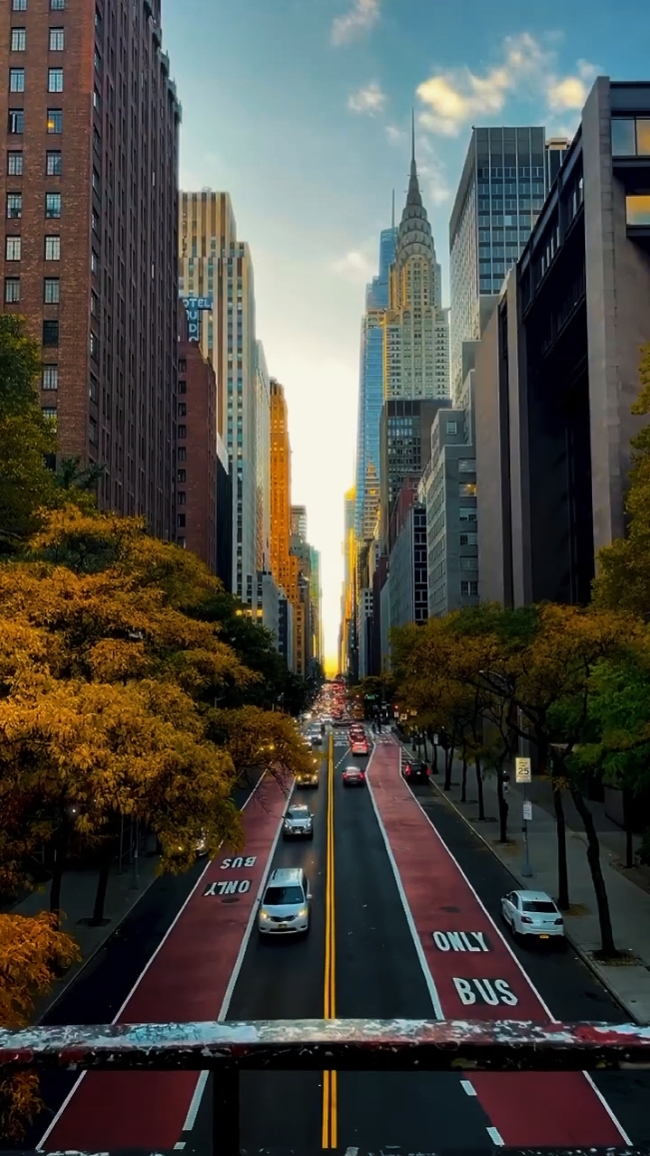 city vlog 
