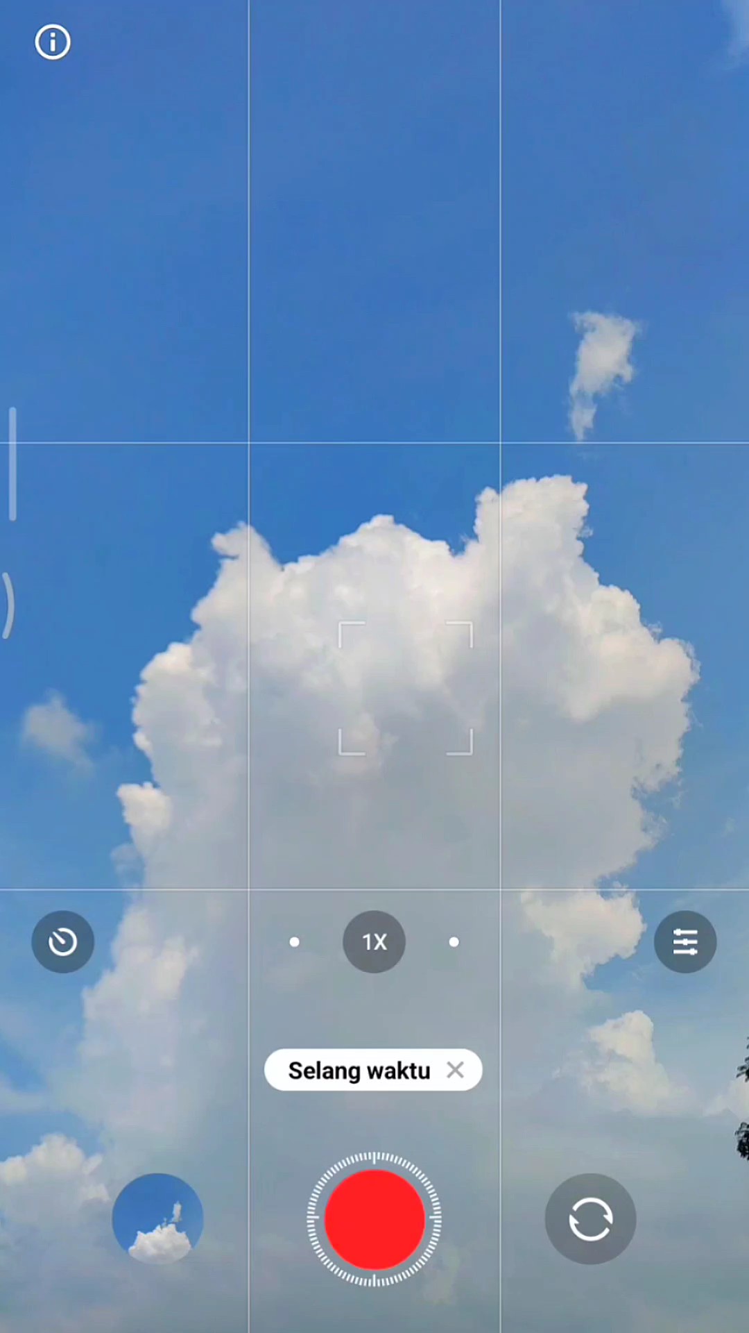 pissenlits bleu ciel