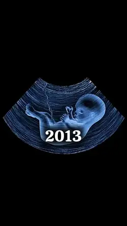 2013