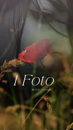 1 Foto