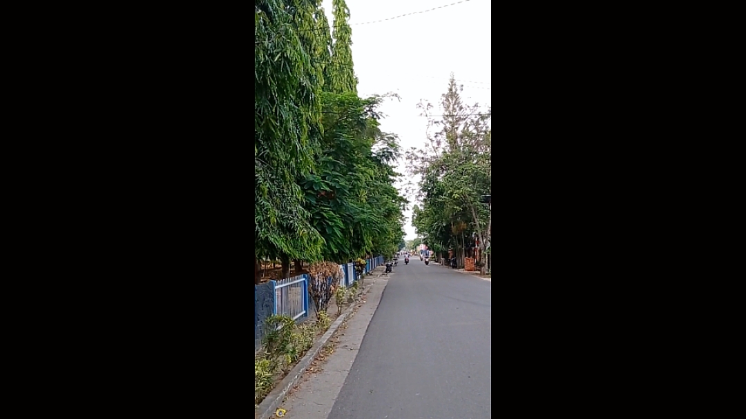 VIDEO STABILIZER