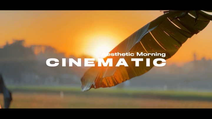  Cinematic Nature Ae