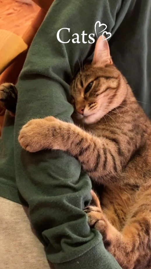 chats