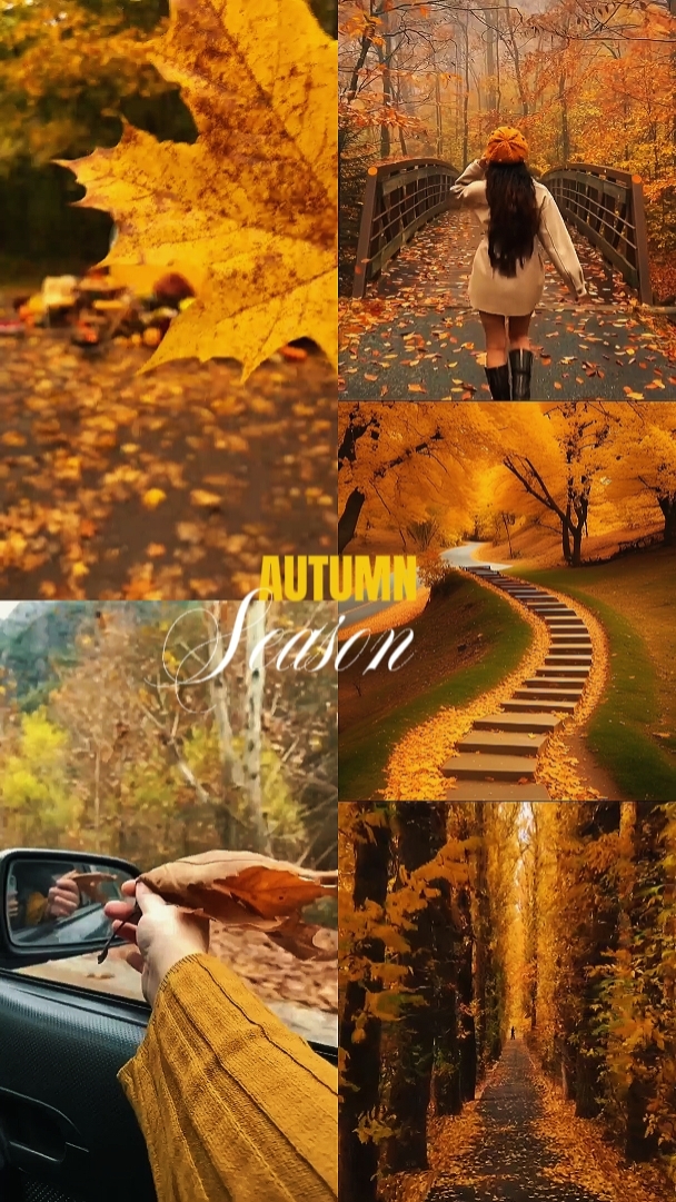 Saison d'automne