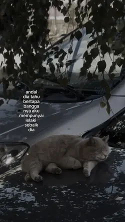 andai dia tahu