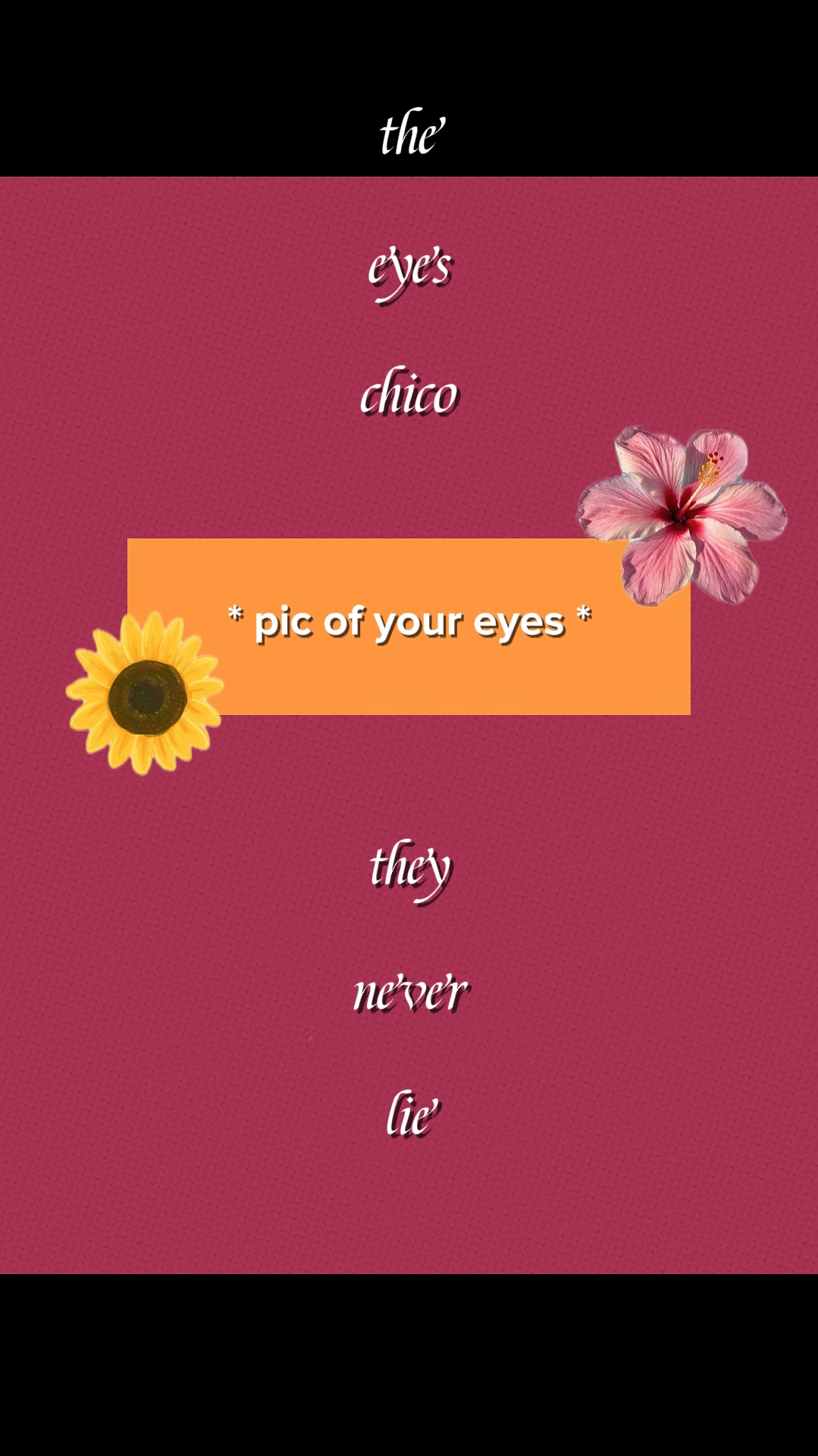 Your Chico Eyes