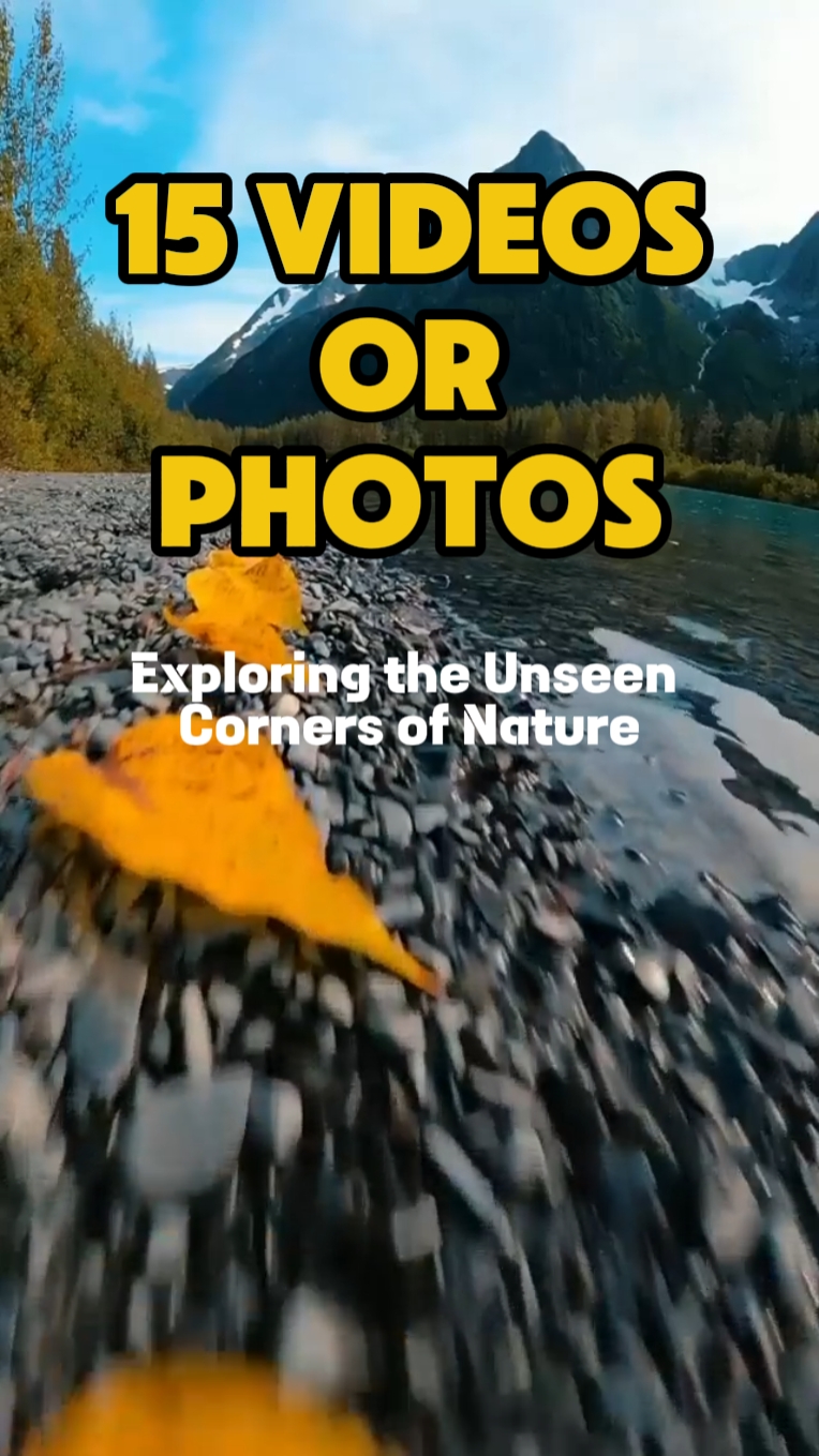 Vibraciones de la naturaleza